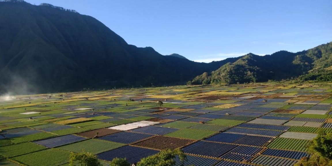 Rinjani Hill Hotel Sembalunlawang Exterior foto