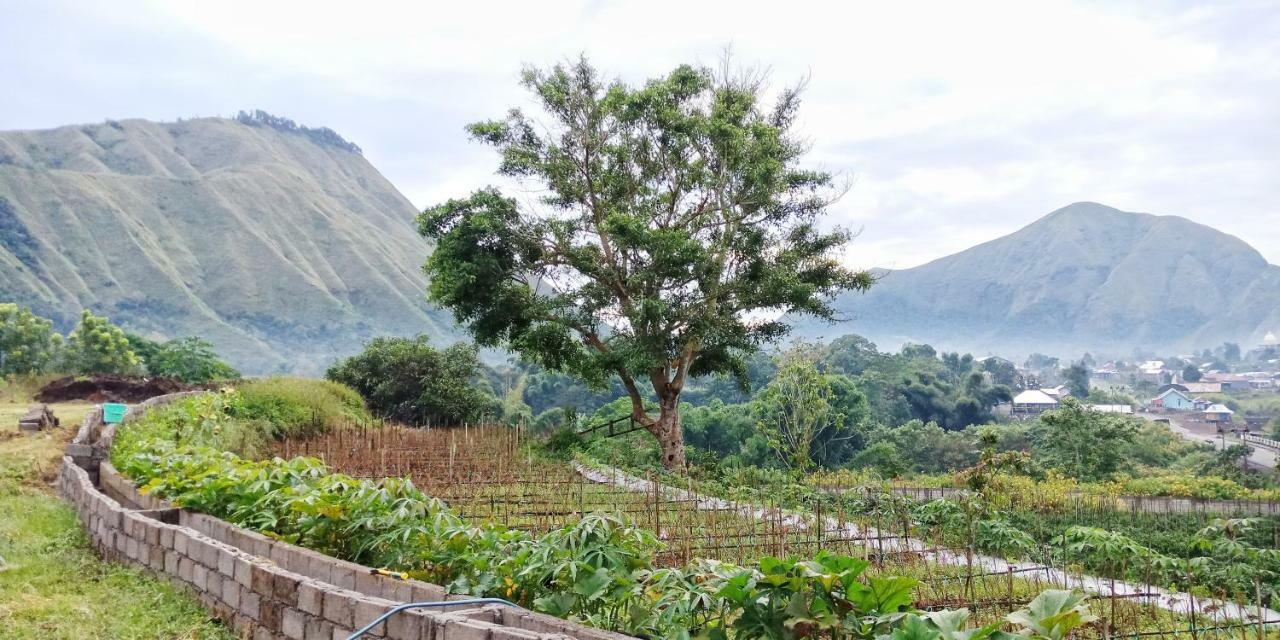 Rinjani Hill Hotel Sembalunlawang Exterior foto